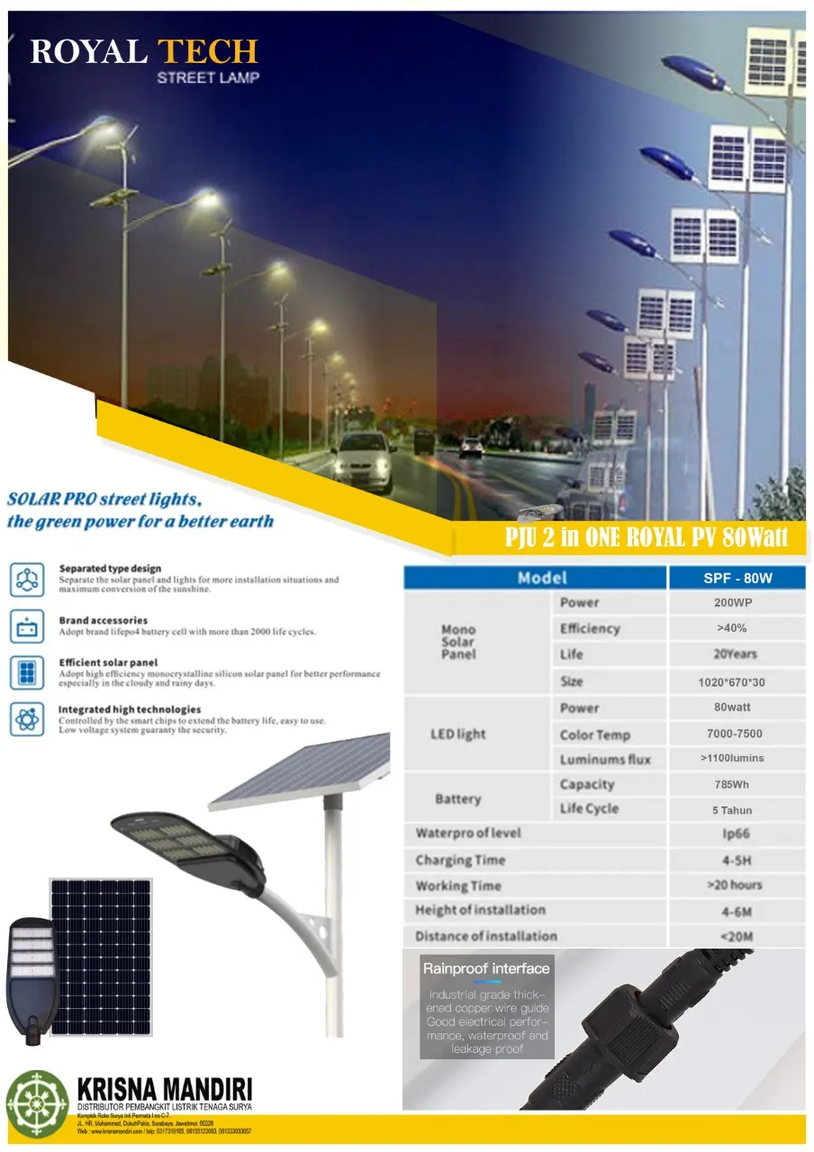 PJU 2 In 1 ROYAL TECH 80 Watt