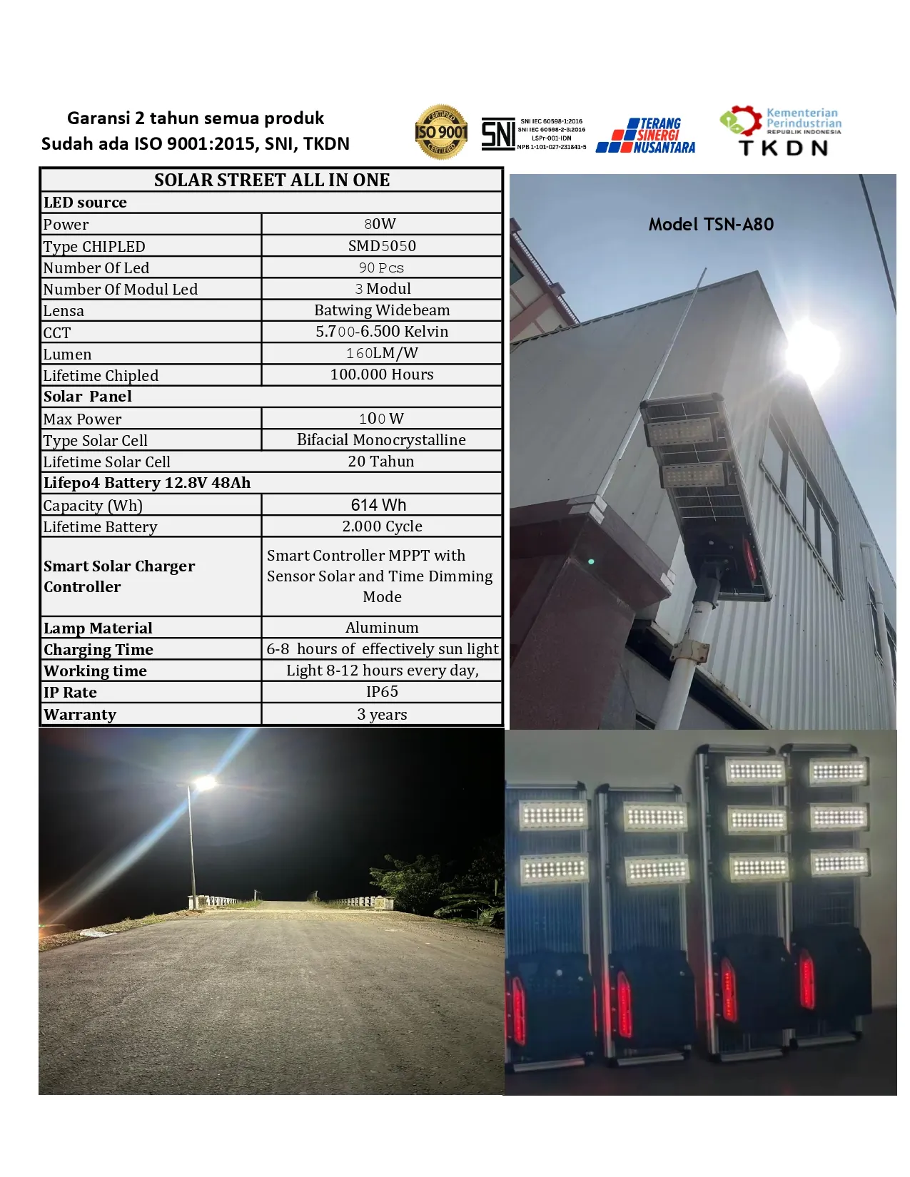 PJUTS All In One 80 Watt TKDN