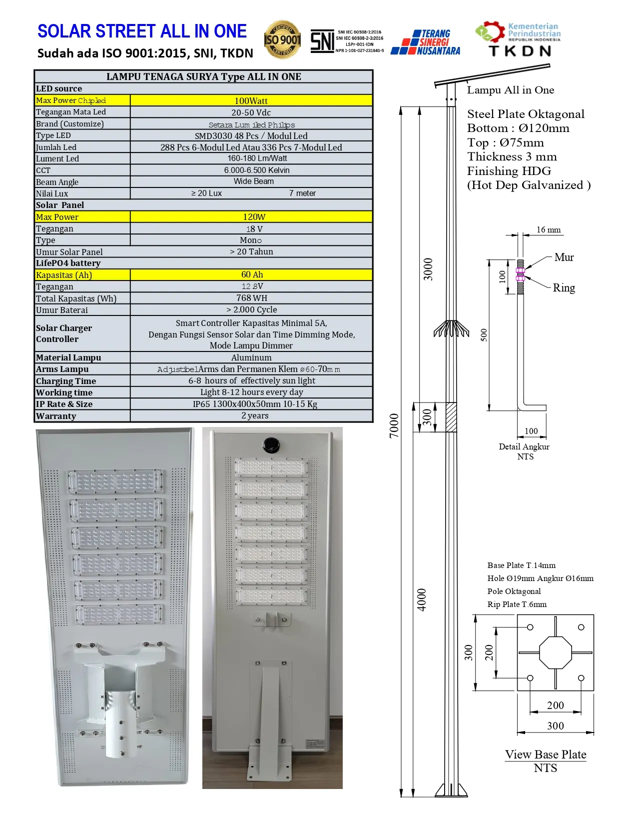 PJU Tenaga Surya All In One 100 Watt TKDN